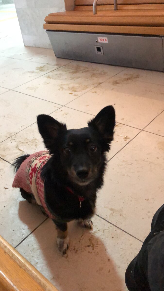 Ожидание поезда на вокзале. 