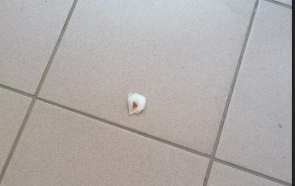     Фото: соцсети