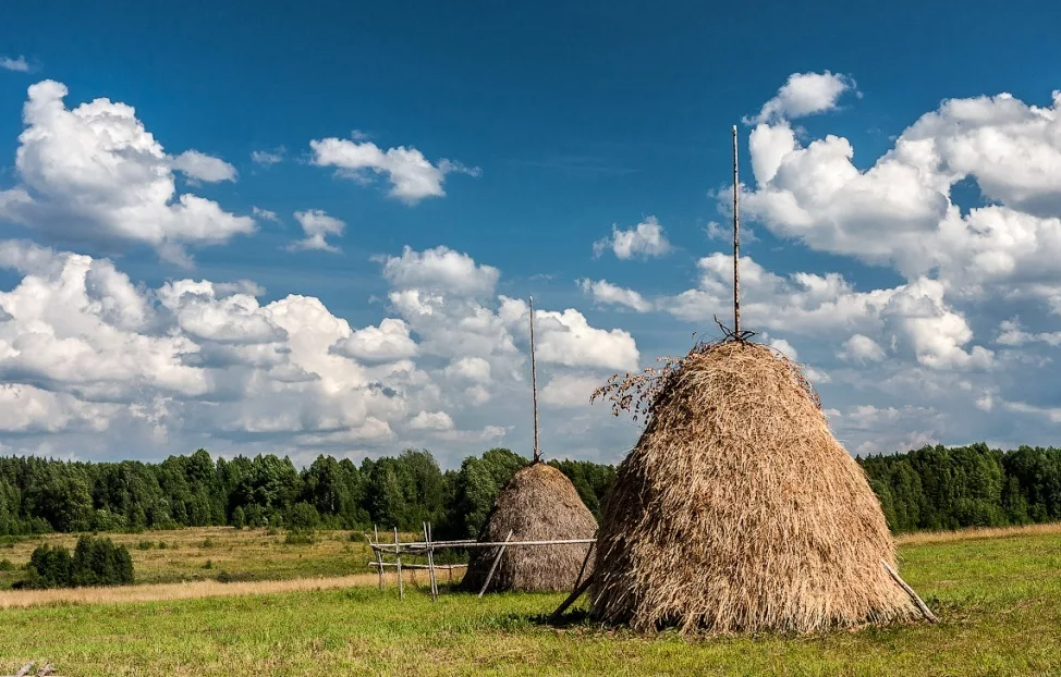 Яндекс картинки