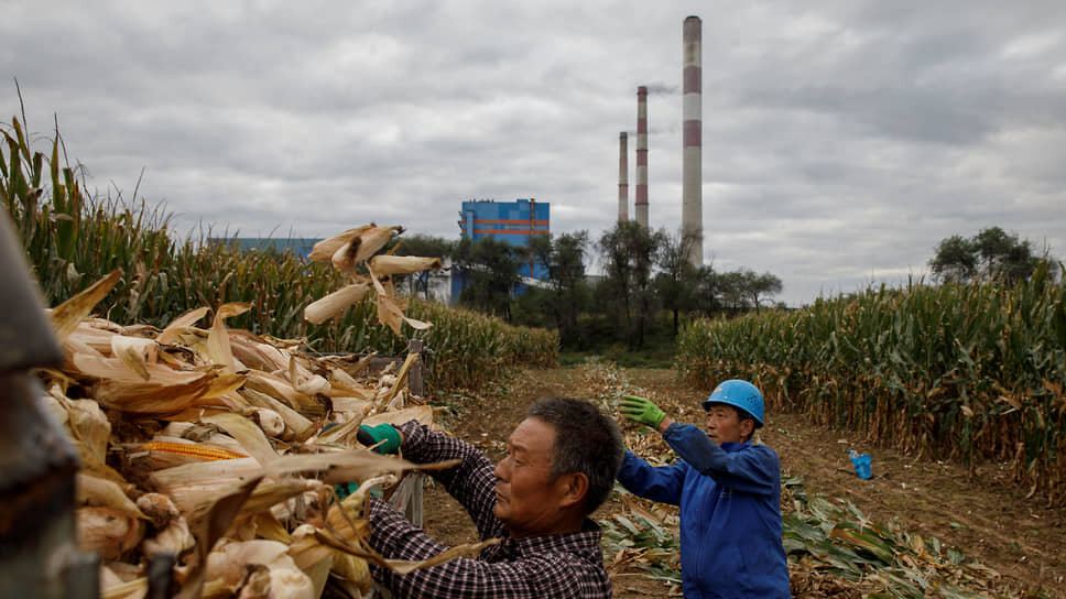    Фото: Thomas Peter / Reuters