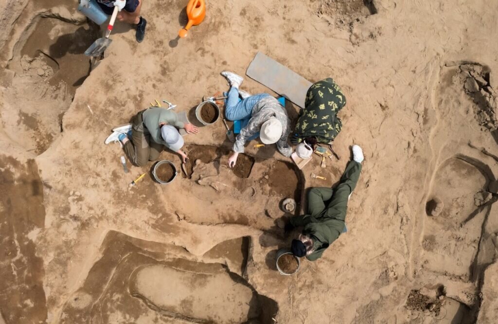    Фото: ЦСН Амурской области