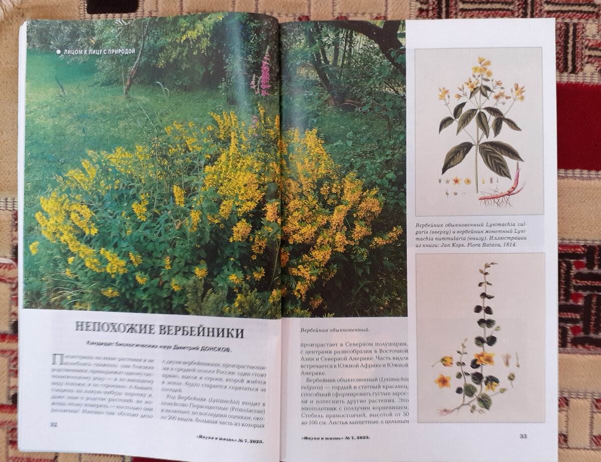 Фотография автора