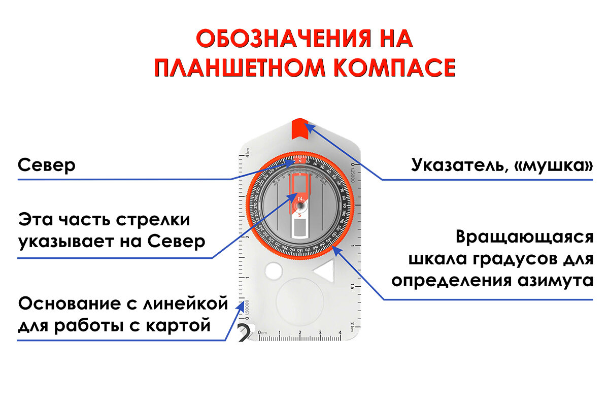 Как правильно пользоваться компасом в лесу