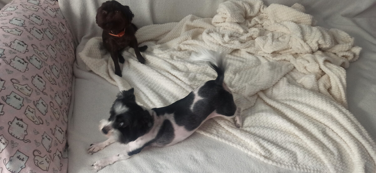 Просто навеяло...