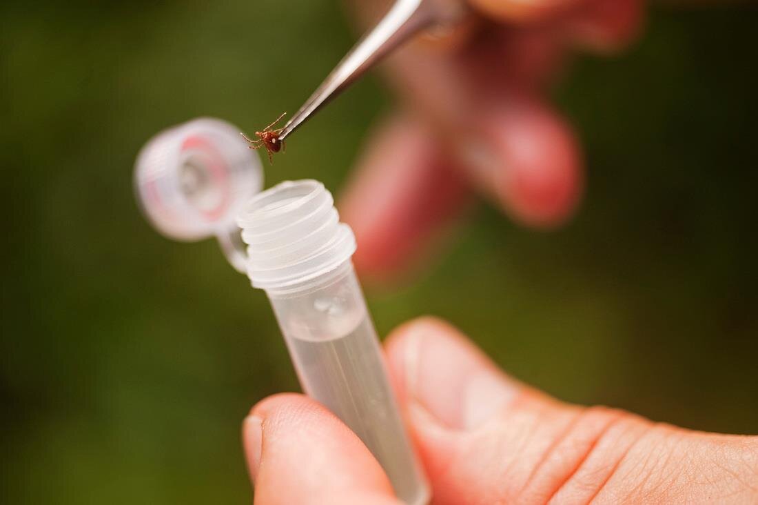 Фото – kubannews.ru