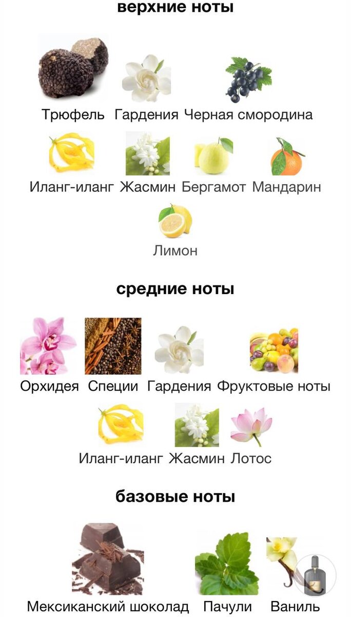 Изображение взято с сайта https://www.fragrantica.ru