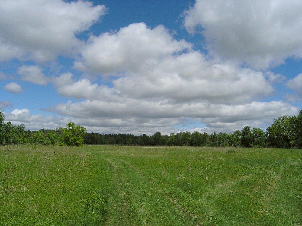 Открытый источник