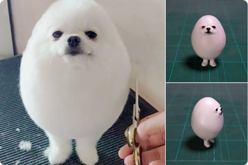  

фото: @meetissai / Twitter
