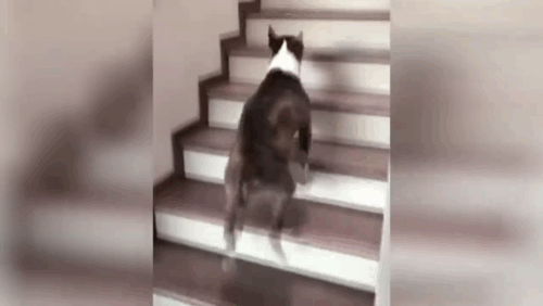 Материал взять из простора YouTube, с пометной свободное распространение.