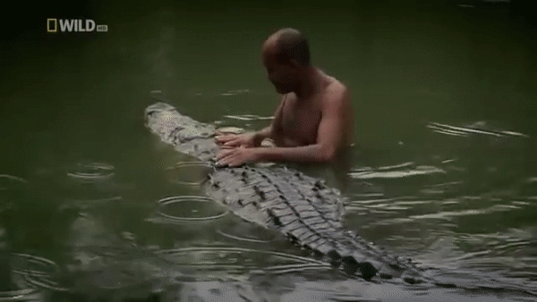 Вот она дружба