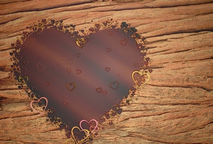 фото из открытых источников