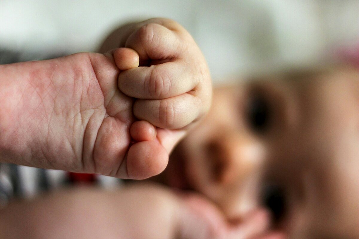 Фото Daniel Nebreda с сайта Pixabay 