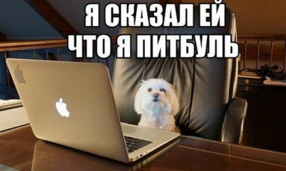 Не верьте всему, что пишут в интернете:)