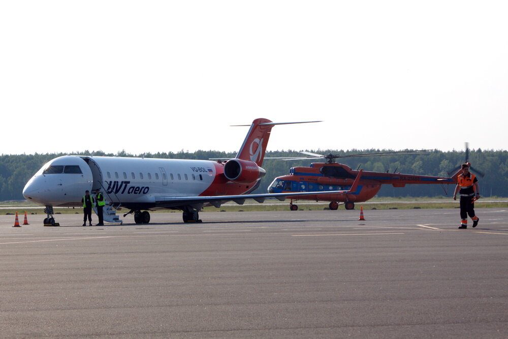 Непогода, пришедшая в нашу лесополосу, заставляет активно мигрировать население. Особо большие перемещения связаны с поисками лета. За солнцем и морем люди летят за тысячи километров. В аэропорту привычная суета, но это в зале. На перроне все спокойно и выверено. Суета здесь не нужна совершенно. У каждого есть своя задача. Мы небольшой группкой встречаем борт и смотрим на привокзальную жизнь.