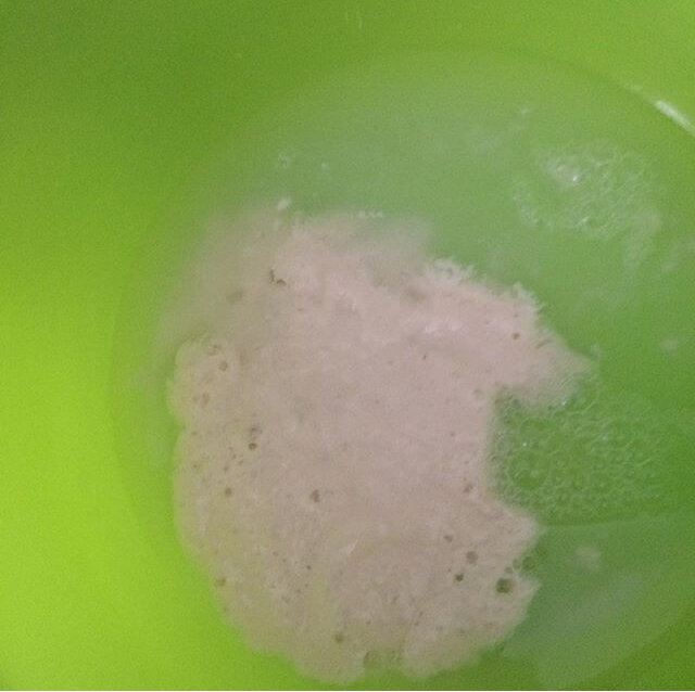 Закваска на поверхности воды 