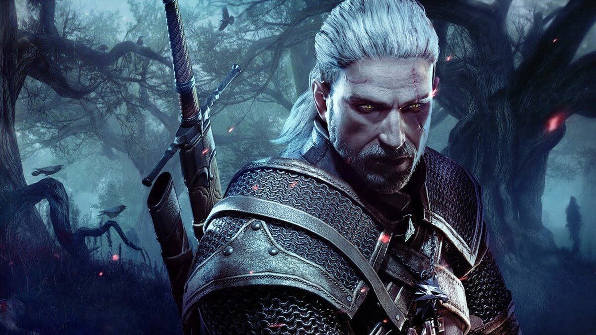 The Witcher 