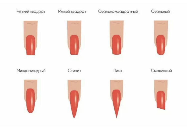 Фото из Яндекс.картинки