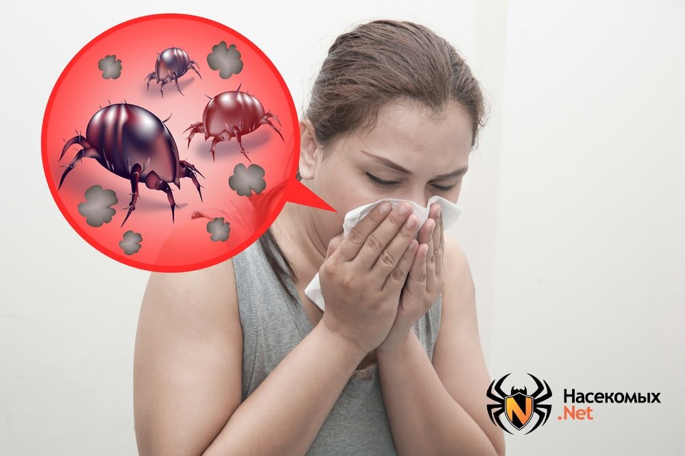 Пылевые клещи