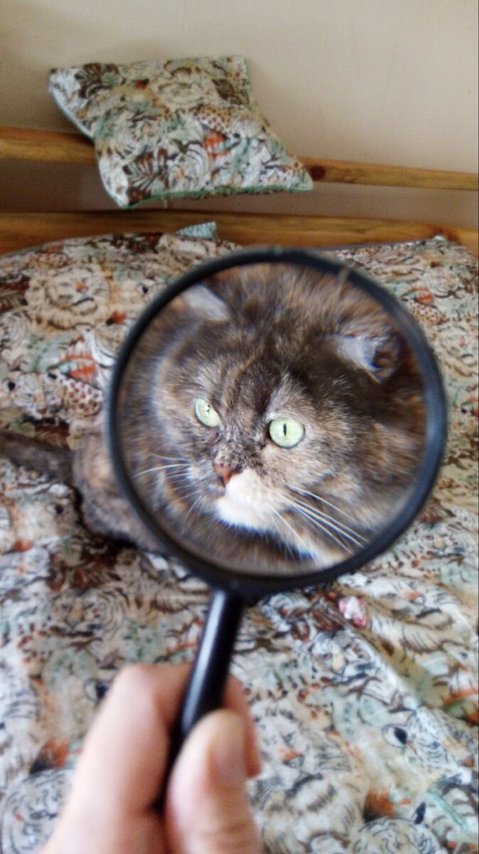 Буся в лупе