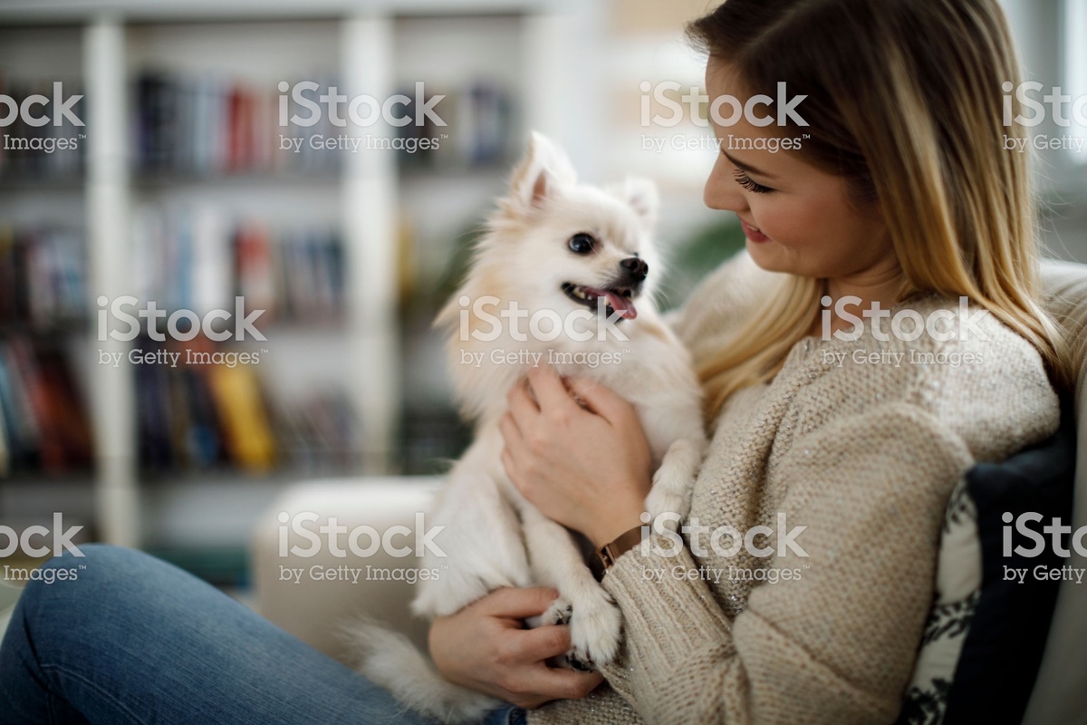 https://www.istockphoto.com/ru/%D1%84%D0%BE%D1%82%D0%BE/woman-relaxing-at-home-with-her-dog-gm943315926-257747489
