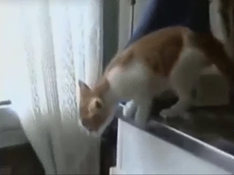 Источник: YouTube