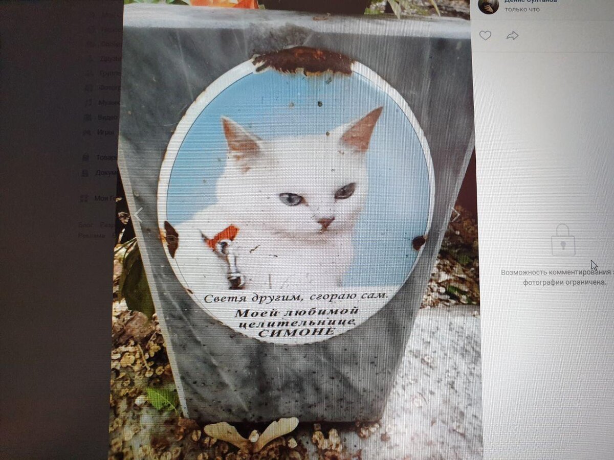 Взгляд целительницы завораживает