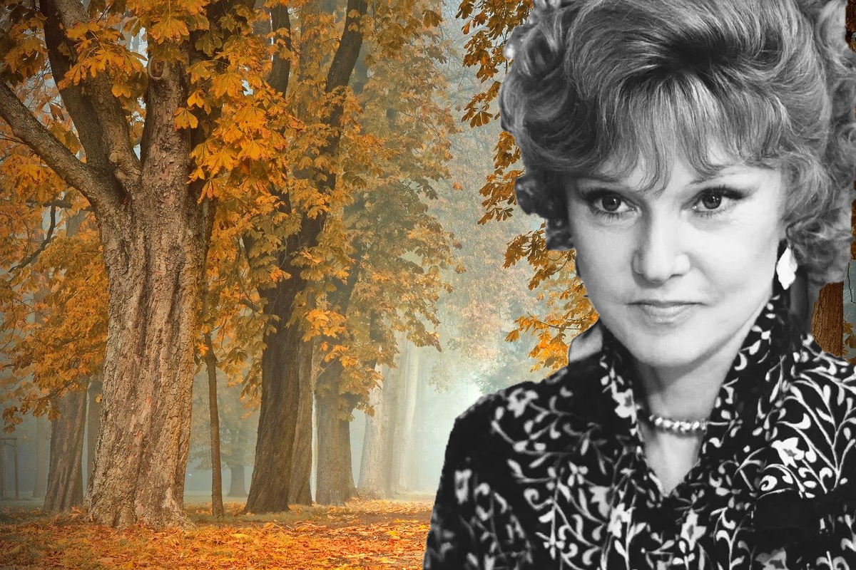 изображение из сети интернет и в свободном доступе