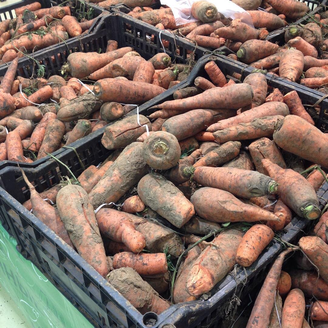 Ням ням, какая аппетитная морковка