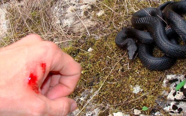 Изображение из открытых источников