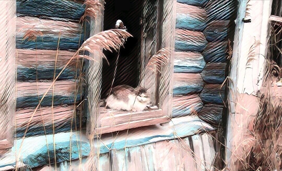 в ужасное время живем боимся поцарапать. жил без страха и помер без страха skyrim. боишься смерти можно подумать. жила страха. жила страха.