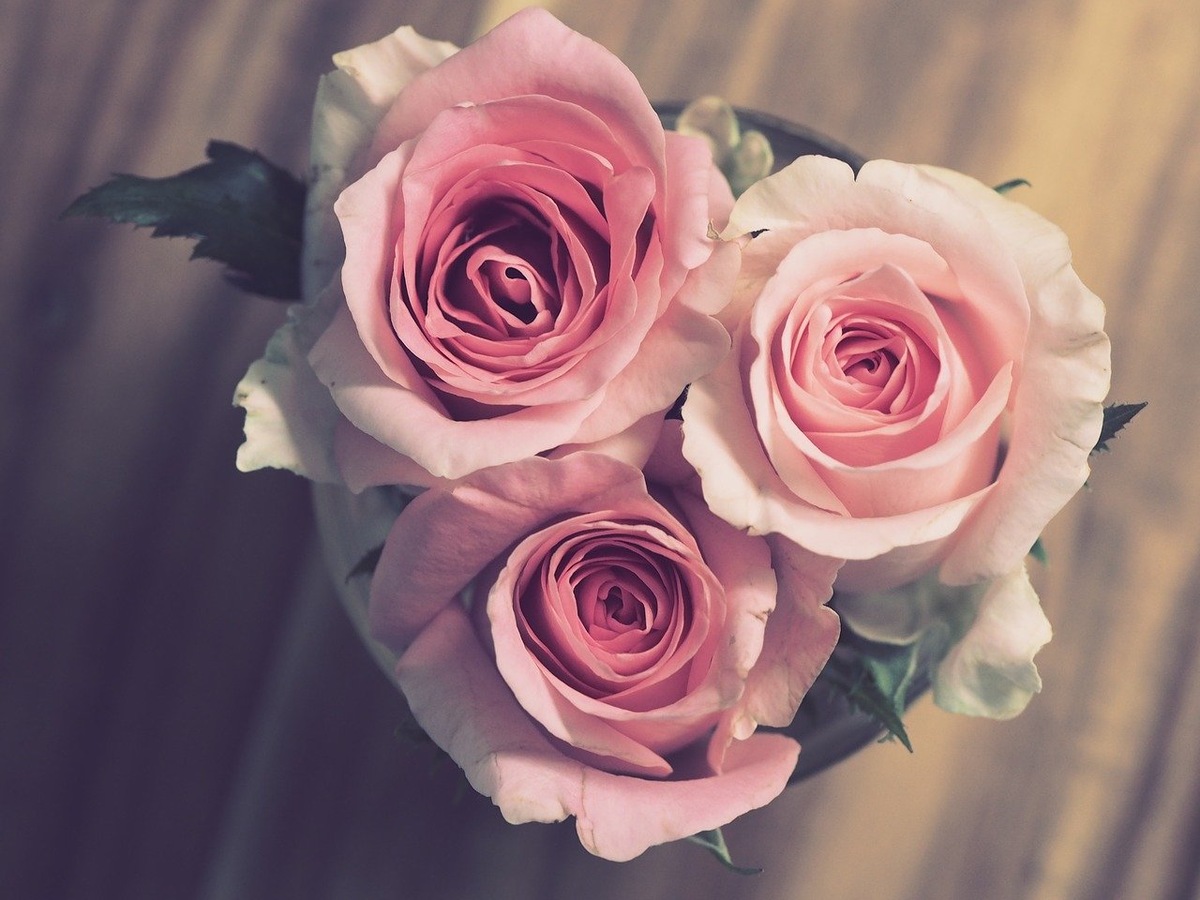 original: pixabay.com