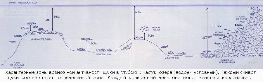 Где ставить жерлицы