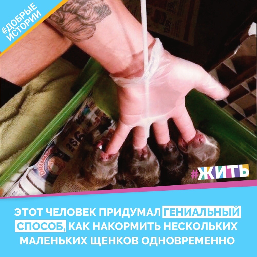 Дарите добро окружающим и оно непременно вернётся к вам🙏🏻❤️

#жить #проектжить #добрыеистории