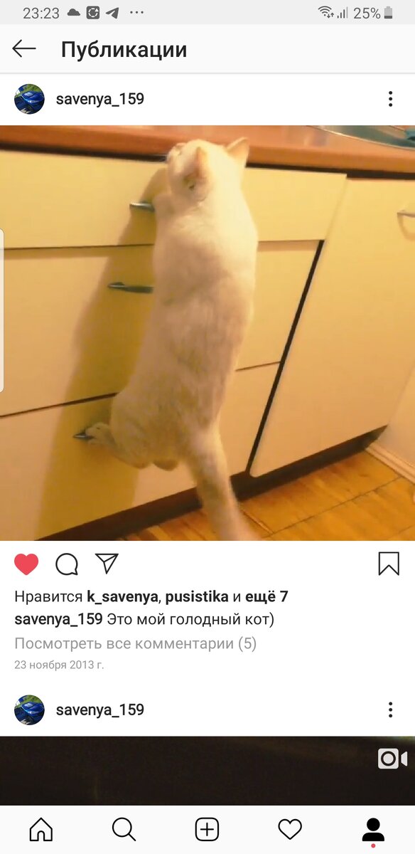 Добыча креветок)