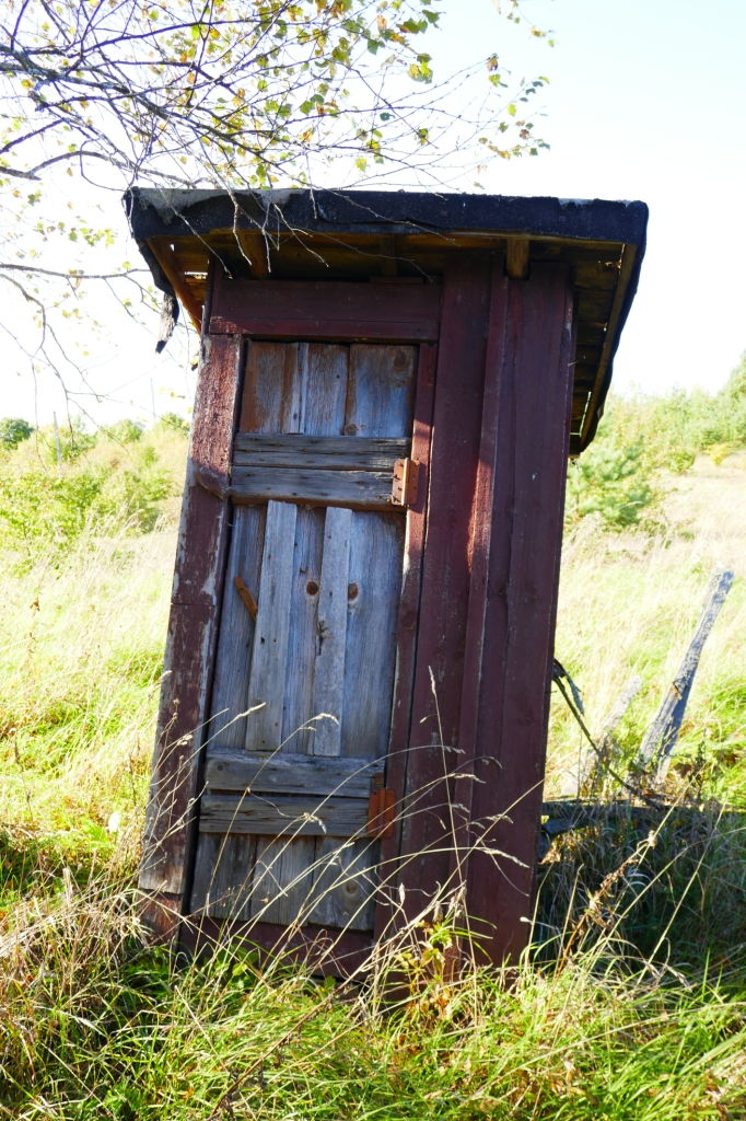 Как обычный дачный нужник превращается в золотой?