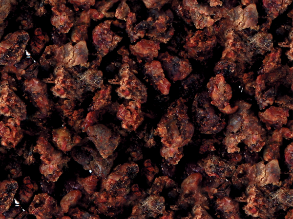 Так выглядит прополис