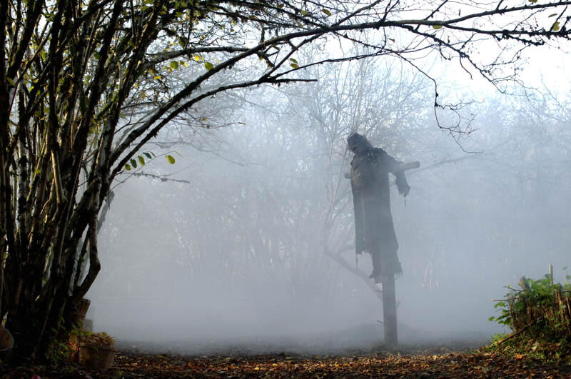 Сверхъестественное пугало. Сверхъестественное пугало. Сверхъестественное пугало. Сверхъестественное пугало. Сверхъестественное чучело.