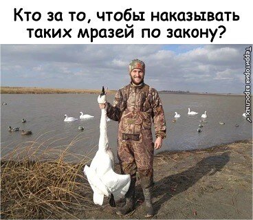 Посмотрите внимательно, кому известен этот герой.