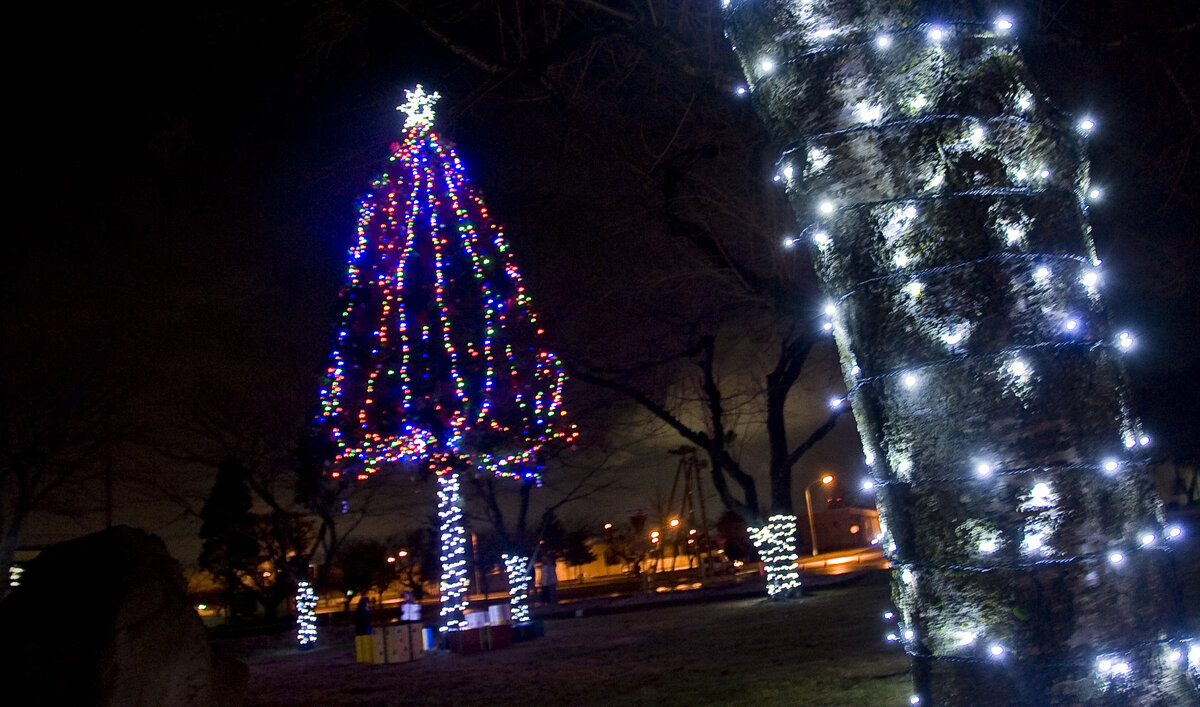 Новогодняя ель в парке Японии