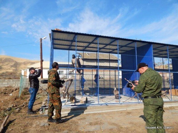  
В заповеднике сотни видов птиц и млекопитающих 