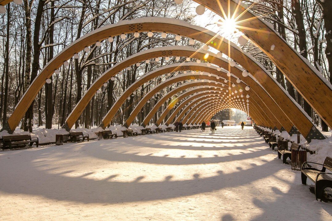 Фото взято из открытого источника. 