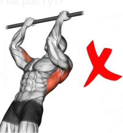 Подтягивание практически блокирует рост результатов в сгибаниях рук со штангой, поэтому эти упражнения лучше выполнять в различные дни