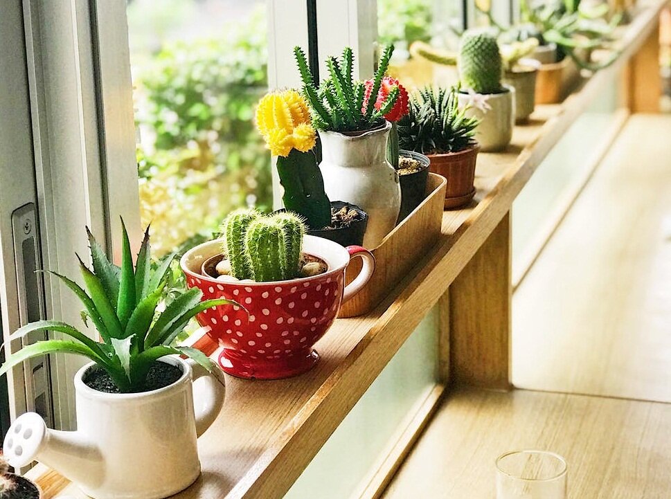 Фото: pexels.com