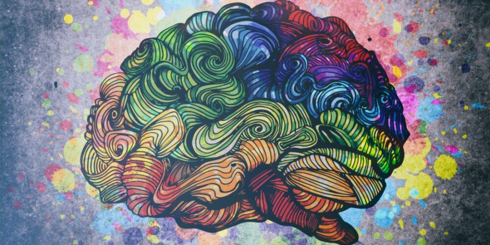 взято из открытых источников