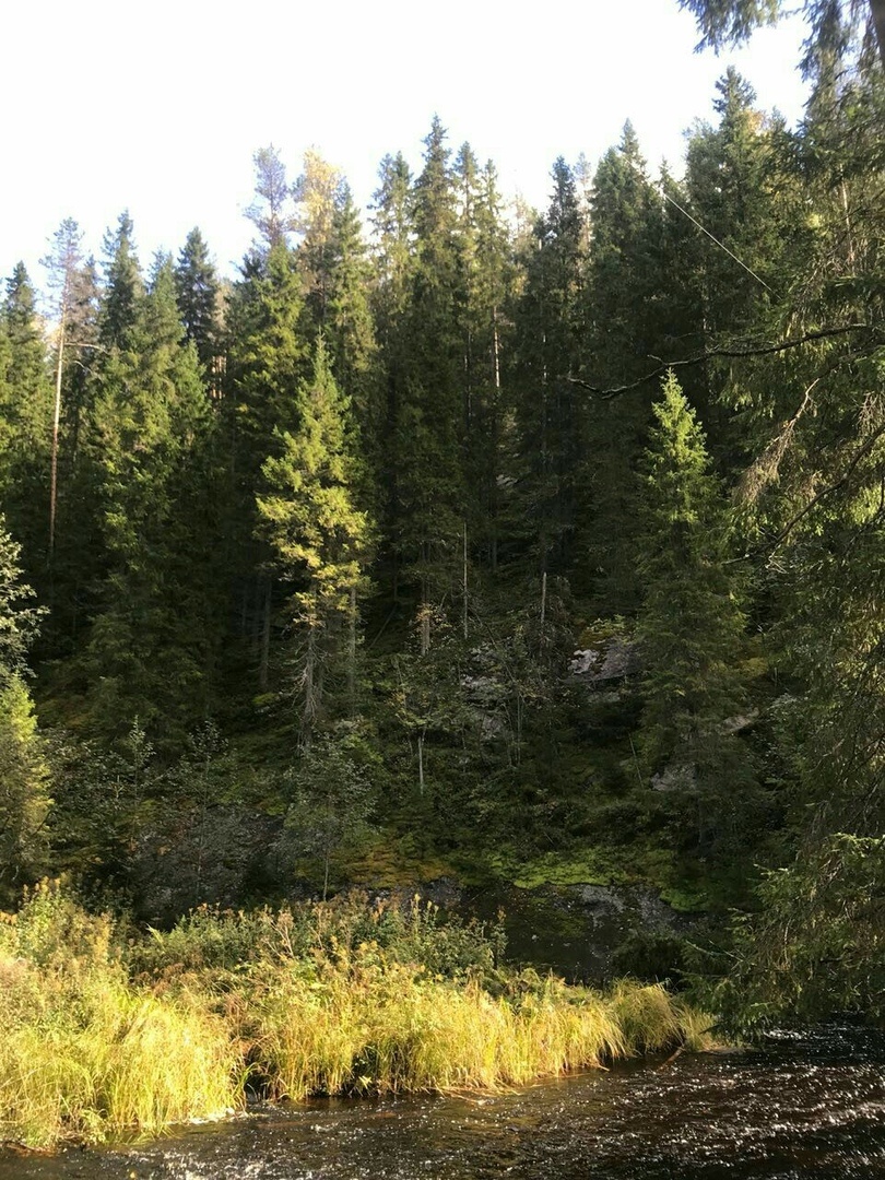 Может быть где-то здесь?