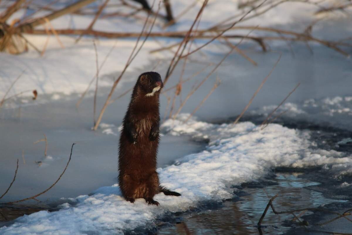 Фото Алексея Третьякова.