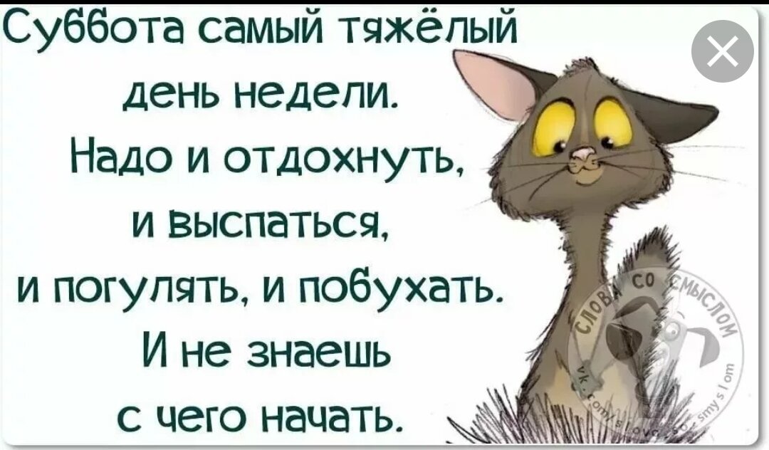 Картинка с яндекс