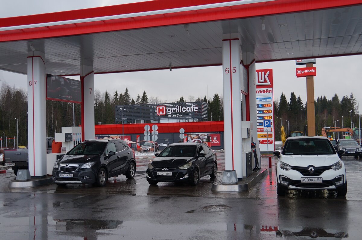 Фото Владимира Желтова