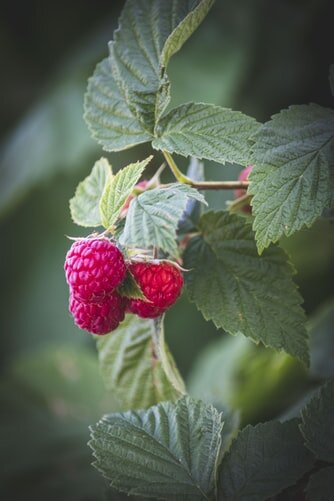 Источник https://unsplash.com/@eyefish73