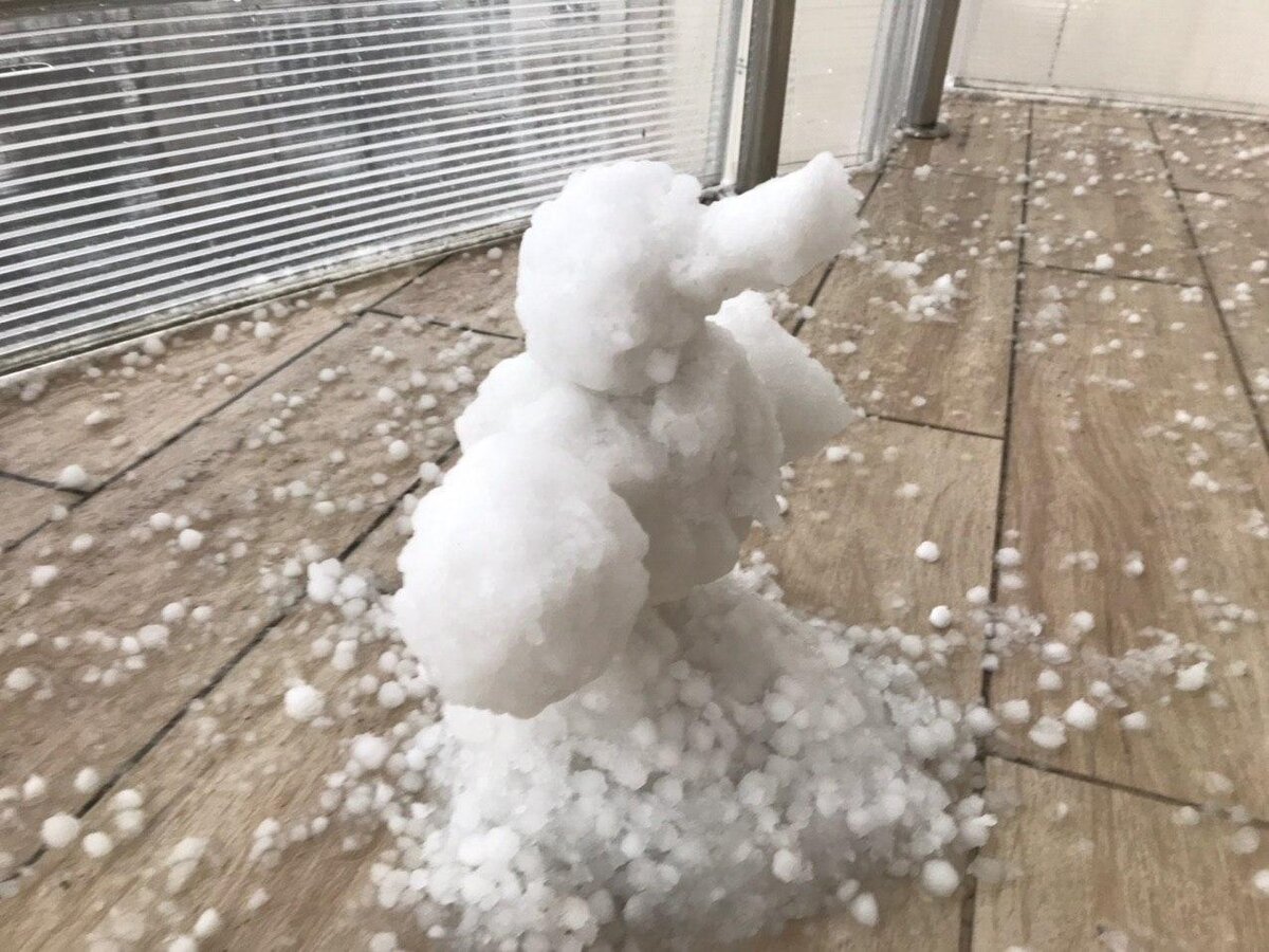 Утконос Семён, 13 февраля 2020